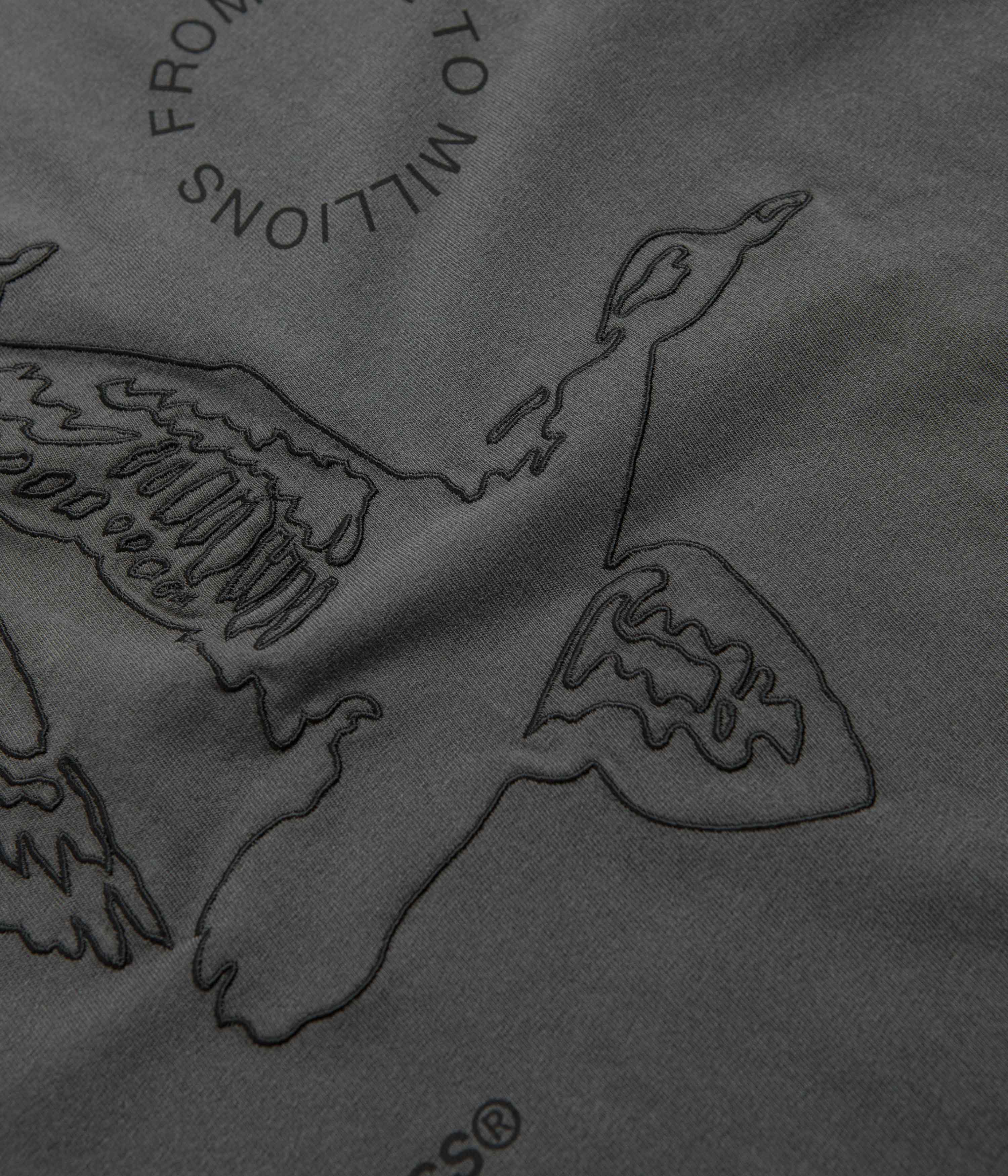 Carhartt T-shirt Flying