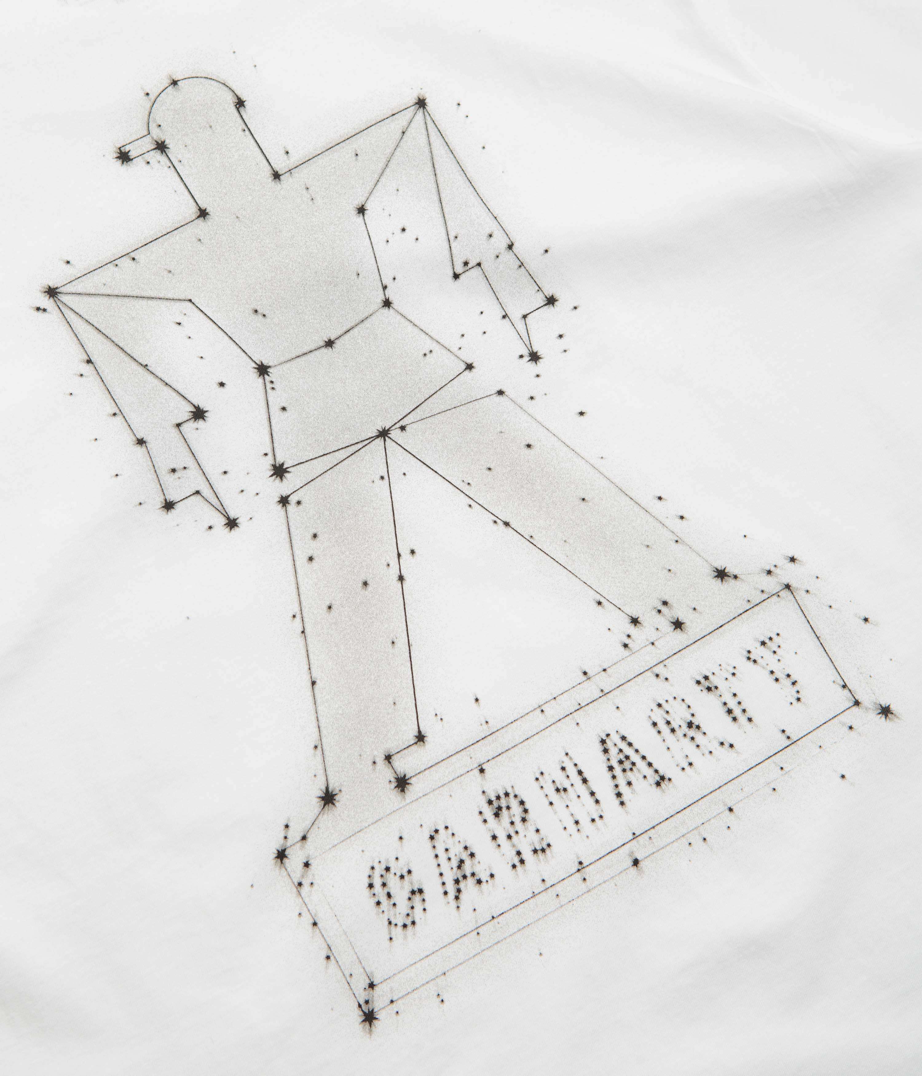 Carhartt T-shirt Stargazer