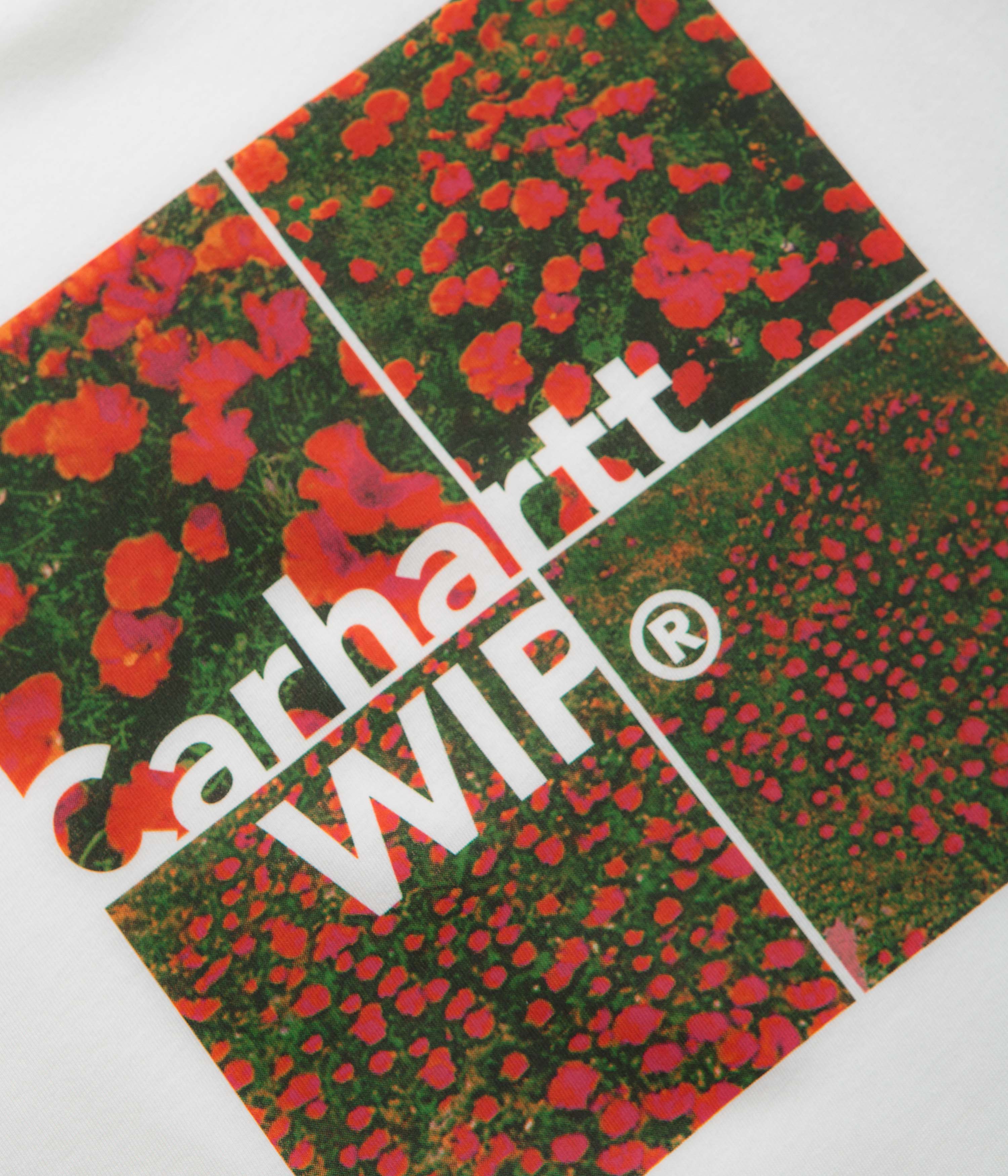 Carhartt T-shirt Valley